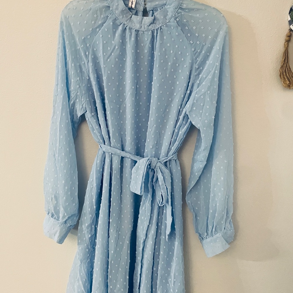 Light Blue Sheer Dotted Swiss Dress